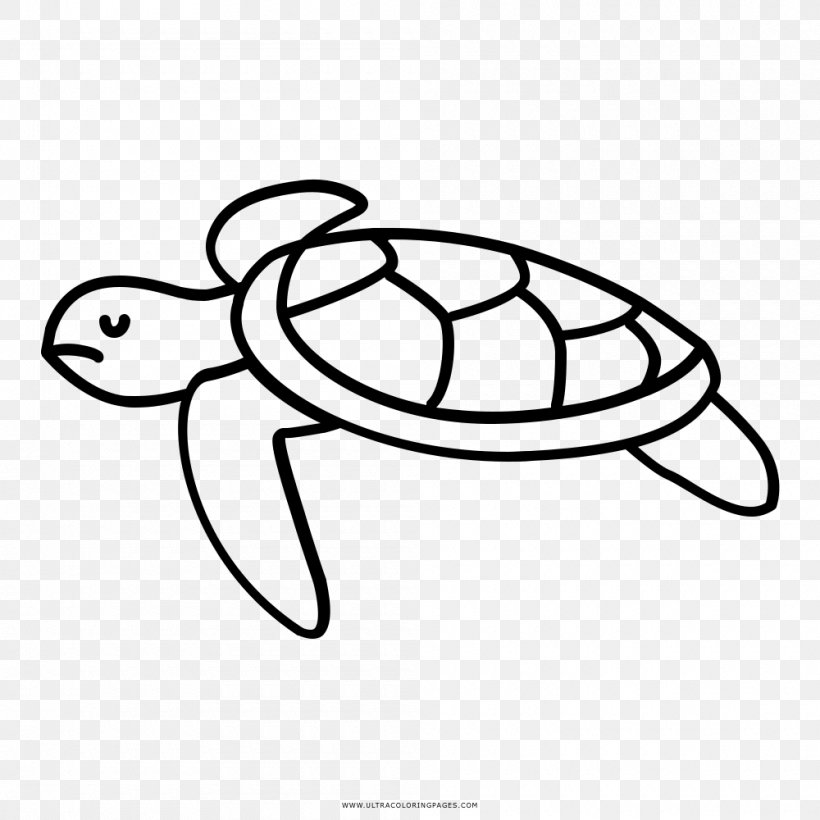 Turtle art programming download